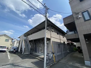セフィラの画像