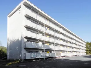 ビレッジハウス中央2号棟の画像