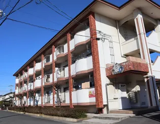 岡山県岡山市南区南輝1【マンション】の外観