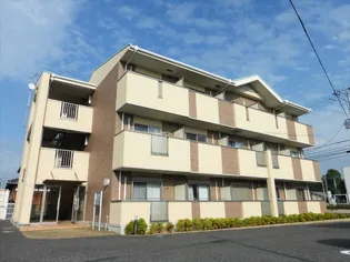 滋賀県近江八幡市金剛寺町【マンション】の外観