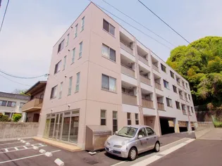 ステージNの画像