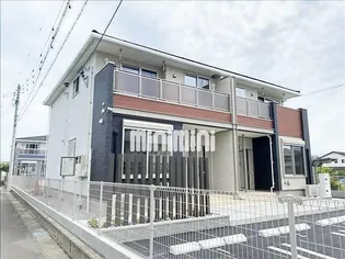 ルディック ダムールIの画像