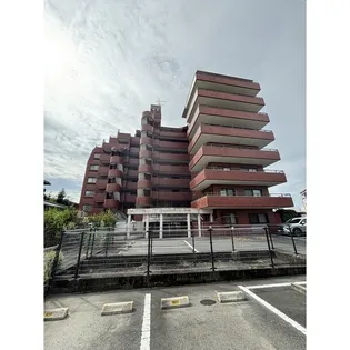 ロマネスク黒髪の画像