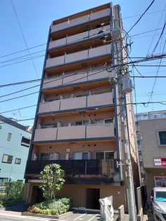 スカイコートパレス押上IIの画像