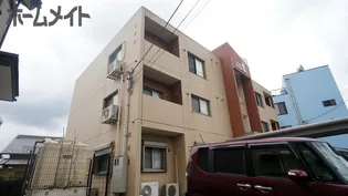 エクセランの画像