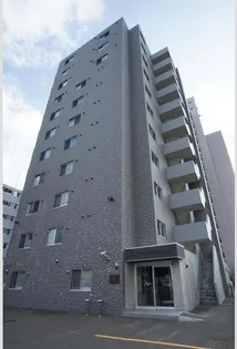 カノントヨヒラの画像