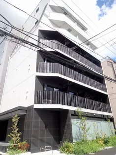 ルネサンスコート文京白山【7階】の外観