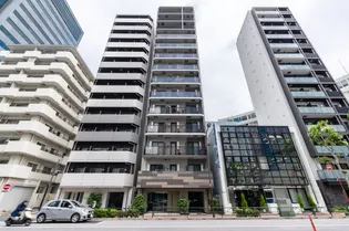 アルテシモ ピトレの画像