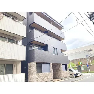 アムール K MUMEの画像