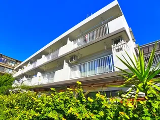 メゾンドセシカの画像