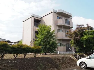 グレースメゾンの画像