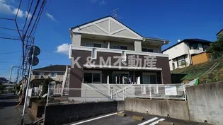 フレッシュリーの画像