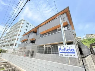 CELESTの画像