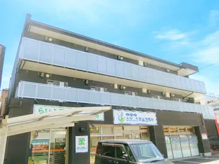 大阪府大阪市平野区平野西1【マンション】の外観