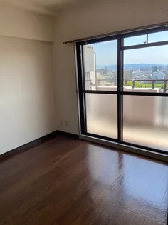 アンピール五福の画像