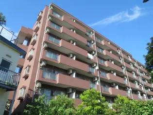 ノーサイドの画像