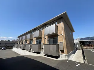 令和BELLIIの画像