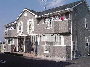 サン ファミリーBの画像