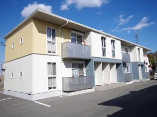 シス シャンブルの画像