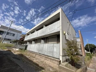 メイプルIVの画像