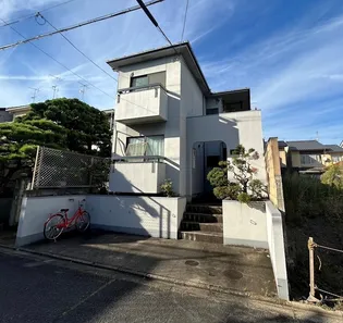 メイトパープルの画像