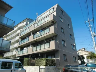 K Yリーフの画像