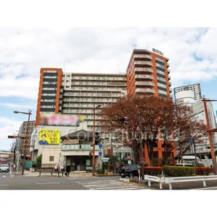 ロワール横濱レムナンツの画像