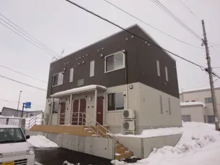 ハミングバードの画像