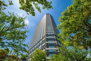 ザ センター東京の画像