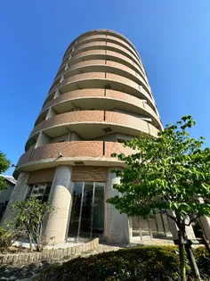 ジェルメ河善の画像