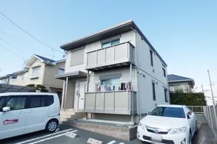 向日葵の画像