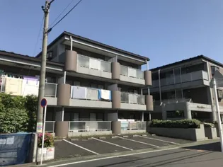 プラムエヌティーの画像