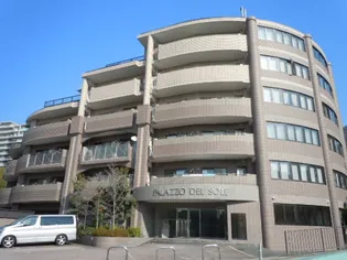 PALAZZO DEL SOLEの画像