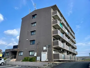 ヴェルデの画像