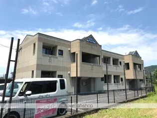 ブルームの画像