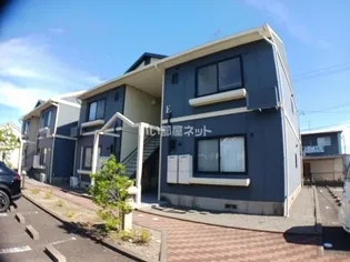 ハナミズキ安田 Eの画像