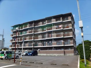 ディアコート8番館【5階】の外観