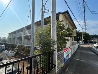 ヴィブレ キュート モアの画像