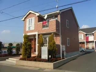 グランド エースの画像