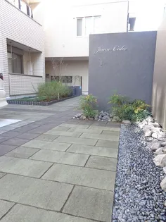 ジュヌセードルA【1階】の外観