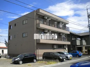 シャインT Tの画像