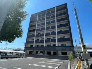 RCユニヴァリィ亀の甲の画像