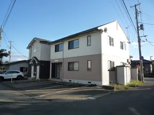 SHAMAISON77の画像