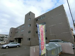 シュープリームコート7の画像