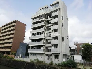 ホワイトブロッサムの画像