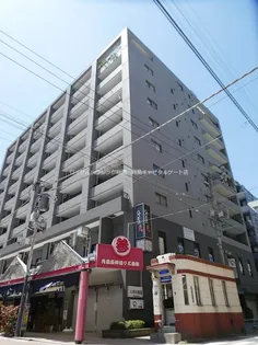 サングランパの画像