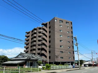 ベイシス隼人の画像