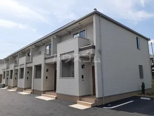 オーロラ中村南の画像
