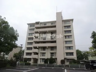 高陽真亀団地2号棟の画像