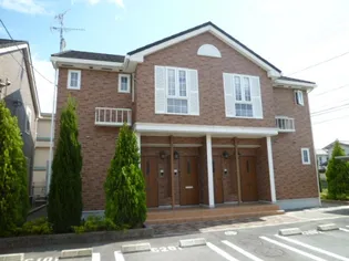 岡山県岡山市中区乙多見【アパート】の外観